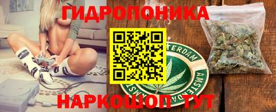 стаф Нарткала