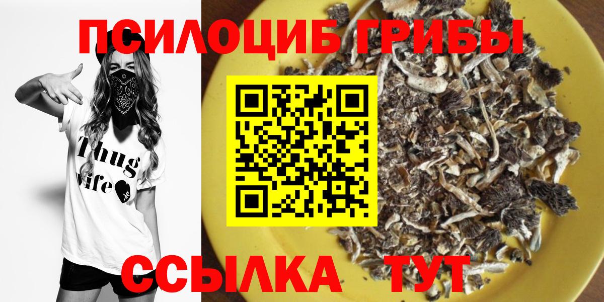 Псилоцибиновые грибы Cubensis Шелехов