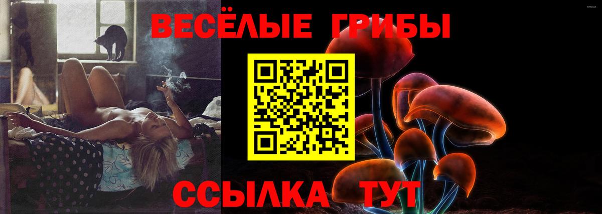 Псилоцибиновые грибы Magic Shrooms  Вход с VPN  Шелехов 