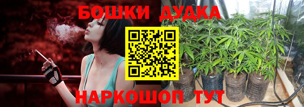 Бошки марихуана Ganja  Бошки Шишки план  Вход с VPN  Шелехов  Конопля сатива  Шишки марихуана план 